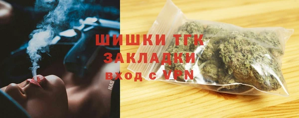 стаф Усмань
