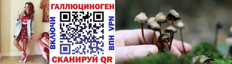 Псилоцибиновые грибы GOLDEN TEACHER  дарнет шоп  Хилок 